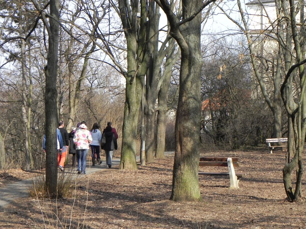DSCN5147